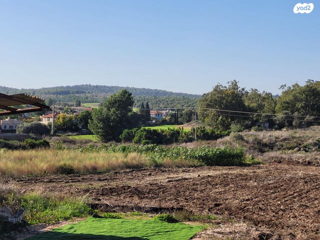 משק חקלאי/ נחלה, התאנה 1, משמר איילון, משמר איילון