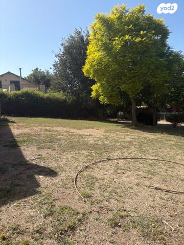 מגרשים, להבות חביבה