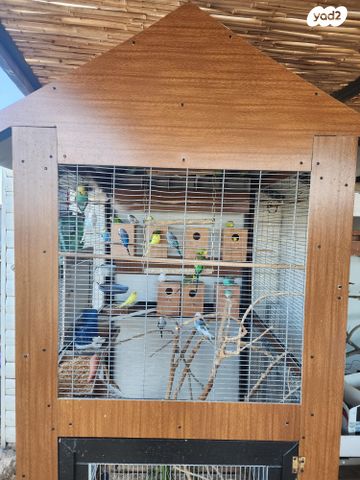 תמונת מודעה - חיות מחמד