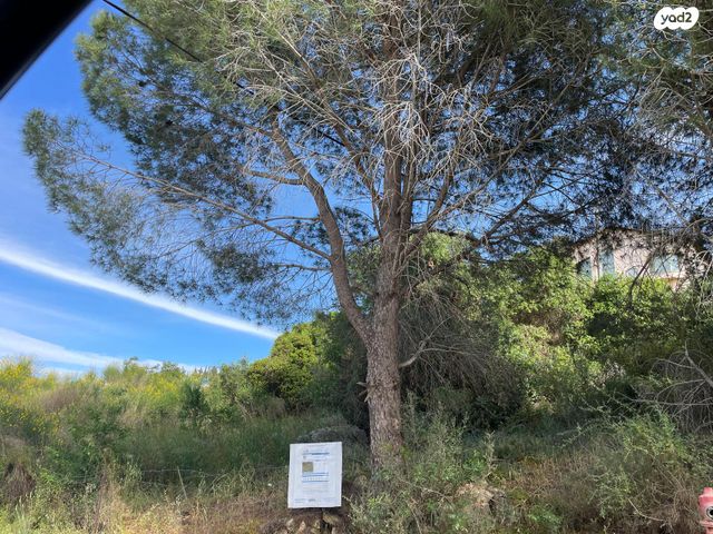 להקת תיסלם 3