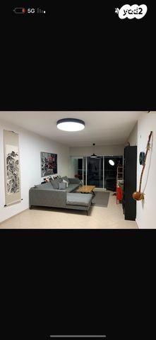 צבי הירשפלד 39