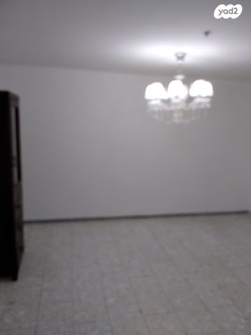 ארבעת המינים 27