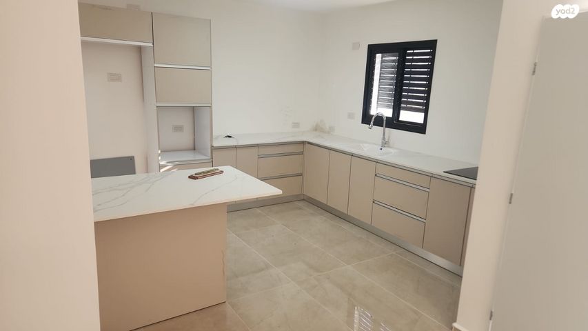 שבטי ישראל 11