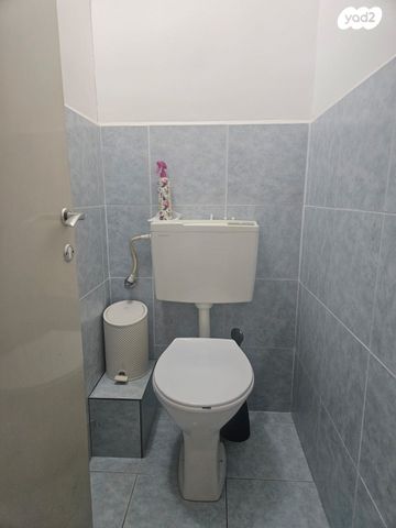 החשמונאים 52