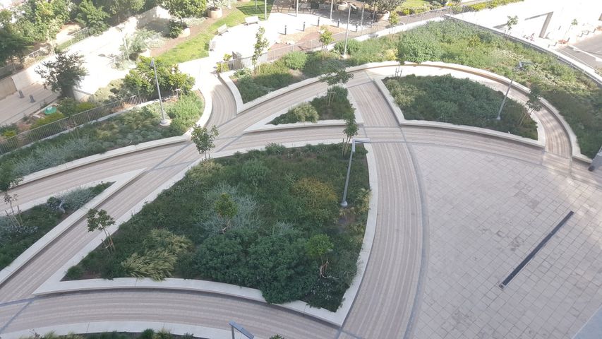 אריאל שרון 8