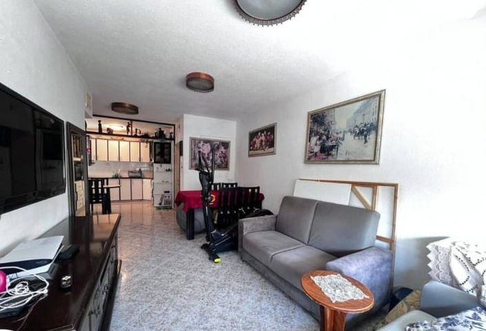 דרך עכו חיפה 209