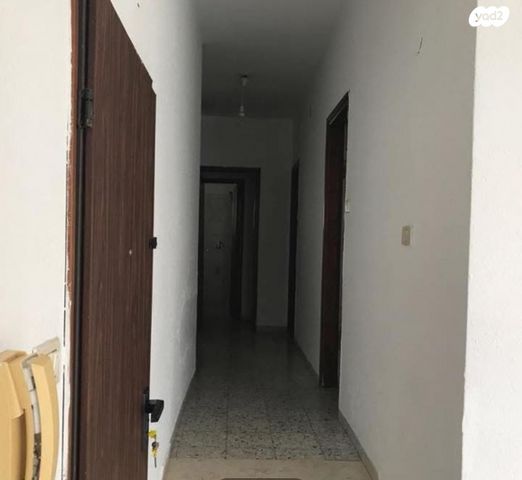 שמעון דהאן 11