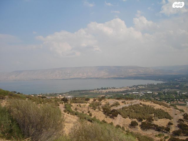 משק חקלאי/ נחלה, מנחמיה