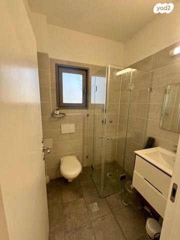 דירה, האנפה, החותרים, טירת כרמל