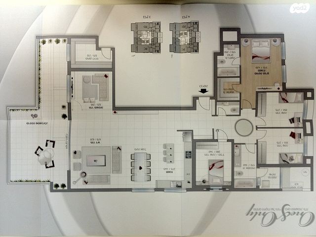 הדר המושבות החדשה / אם המושבות החדשה