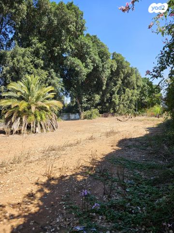 משק חקלאי/ נחלה