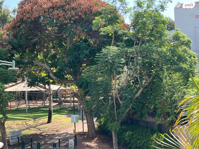 אלימלך רימלט 