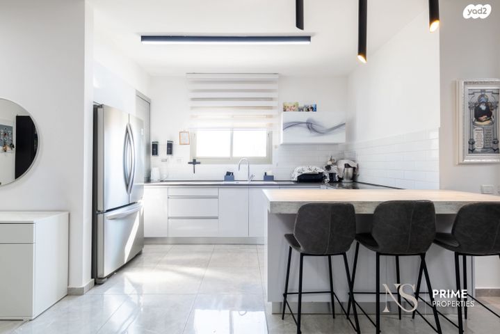 גג/ פנטהאוז, רוטשילד 22, השחר, דימונה