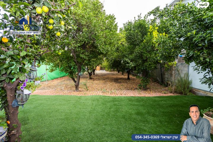 מגרשים, גיל עמל, הוד השרון