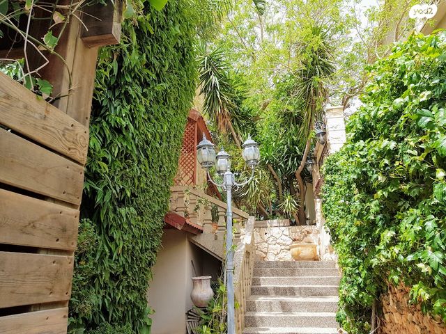 דופלקס, גולדה מאיר, רמת גולדה, חיפה