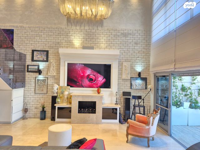 גג/ פנטהאוז, אשדוד