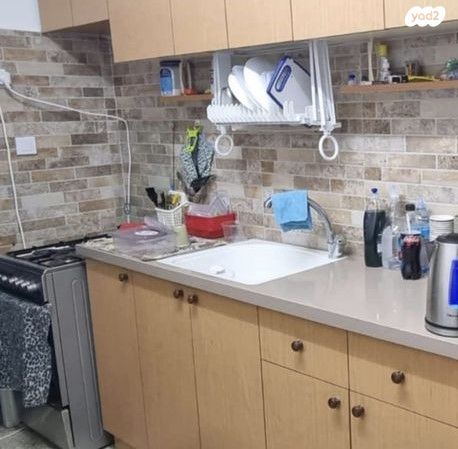 אריה בן אליעזר 