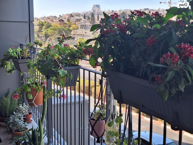 דירה, הרב הרצוג, גבעת הורדים, רסקו, ירושלים