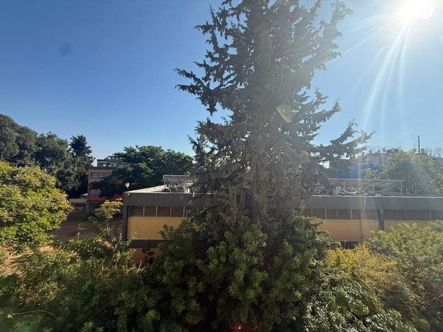 דירה, ג'סי כהן, חולון