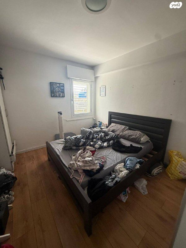 דירה, ג'סי כהן, חולון