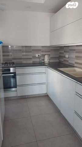 משה נובומיסקי 