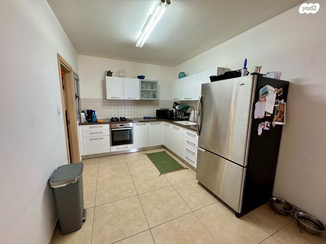 דירה, נחל איילון, צור יצחק, צור יצחק