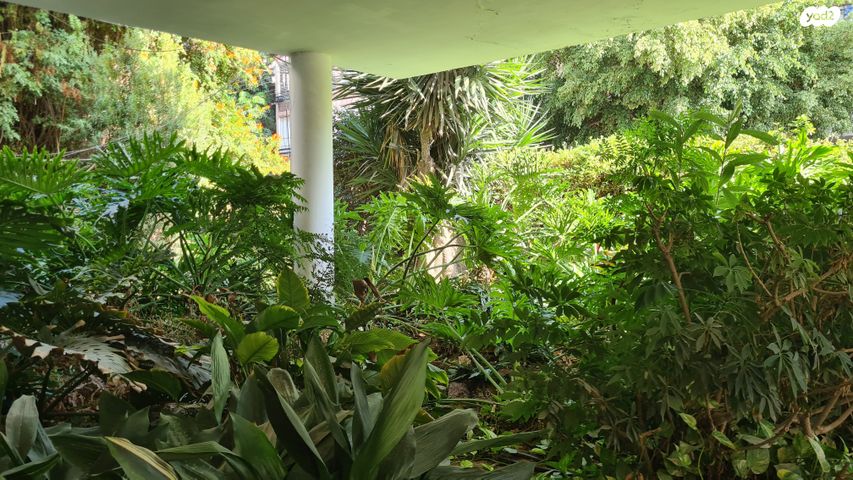 דירה, ש. בן ציון, ב' / צפון מערב העיר, רחובות