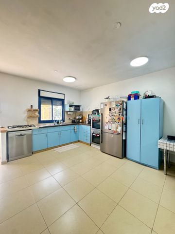 דו משפחתי, הצבעוני, עלי