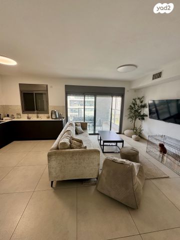 דירה, האנפה, החותרים, טירת כרמל