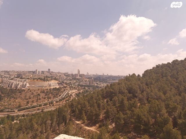 אבנר חי שאקי 