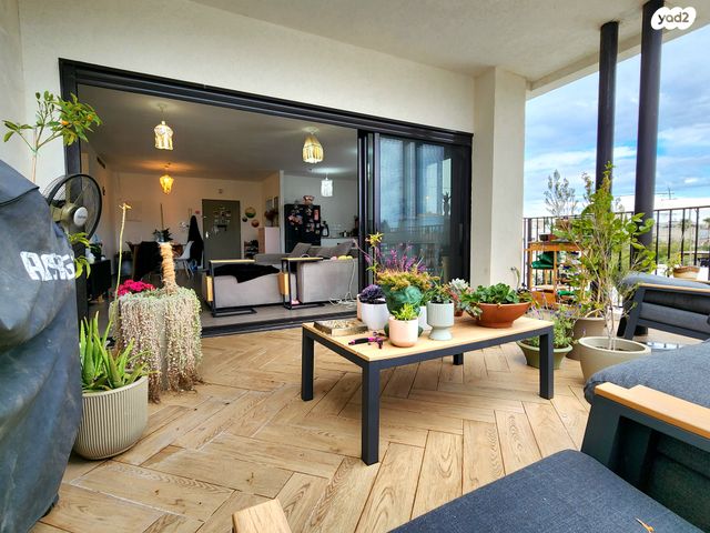 קהילת ציון 24