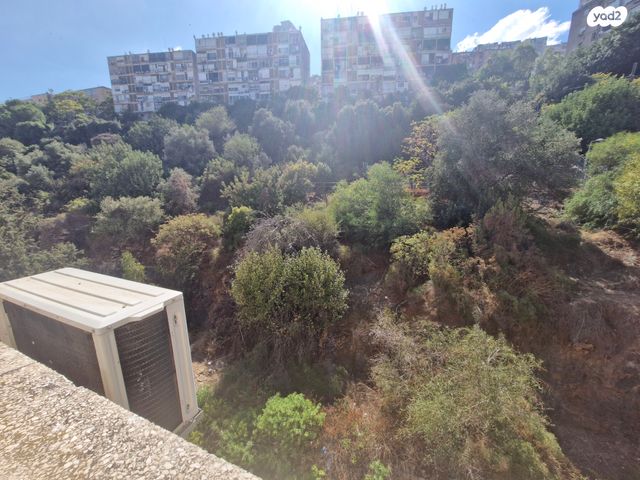דירה, חטיבת כרמלי, נווה פז, חיפה