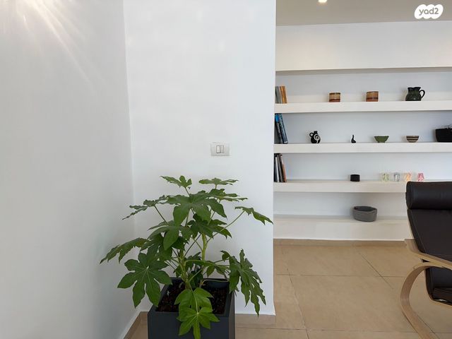 דירה, הצפון הישן - דרום, תל אביב יפו