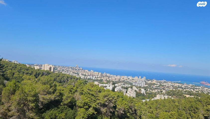 דירה, התאנה, נשר