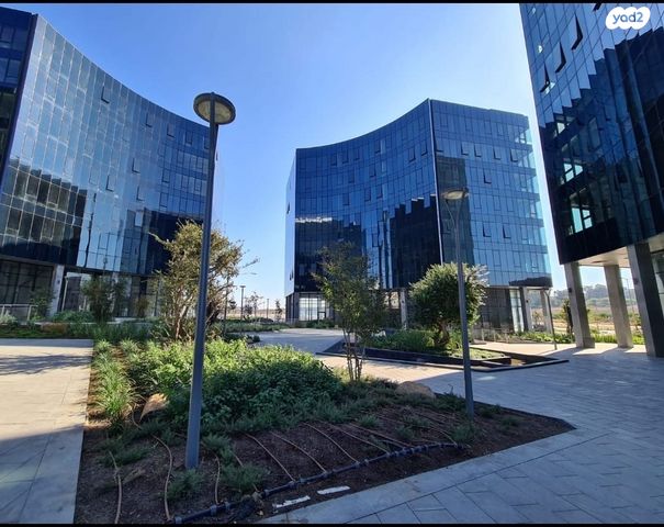 משרדים, פרופ' אברהם פצ'ורניק, נס ציונה