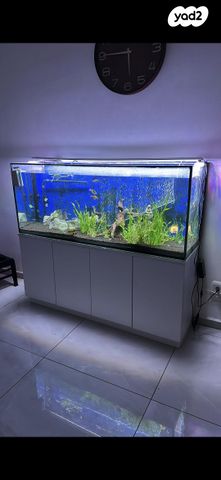 תמונת מודעה - חיות מחמד