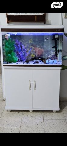 תמונת מודעה - חיות מחמד