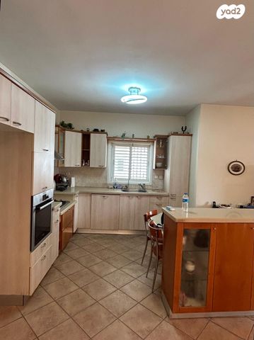 יגאל ידין 12