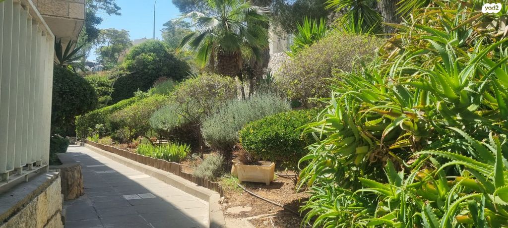 הנרי מורגנטאו 8