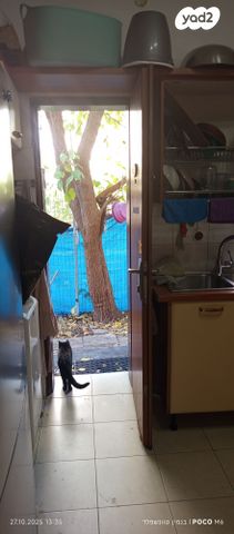 דירת גן, חניתה 13, מרכז העיר, סביניה, הוותיקה, קרית ביאליק