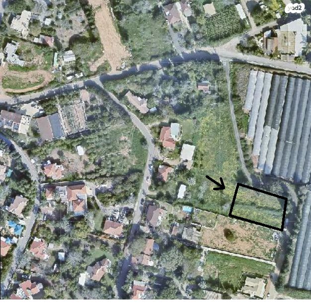 דרך הפרחים 1