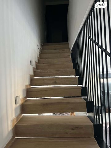 חורשת האקליפטוס 52