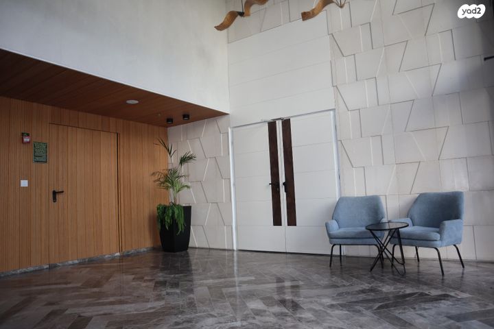 רועי קליין 2