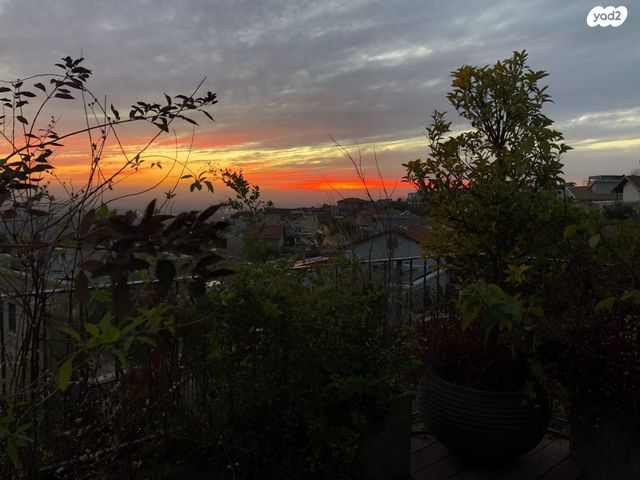 בית פרטי/ קוטג', הזורע 58, קציר, קציר