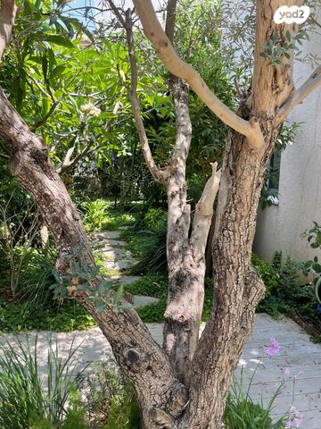 בית פרטי/ קוטג', הזורע 58, קציר, קציר