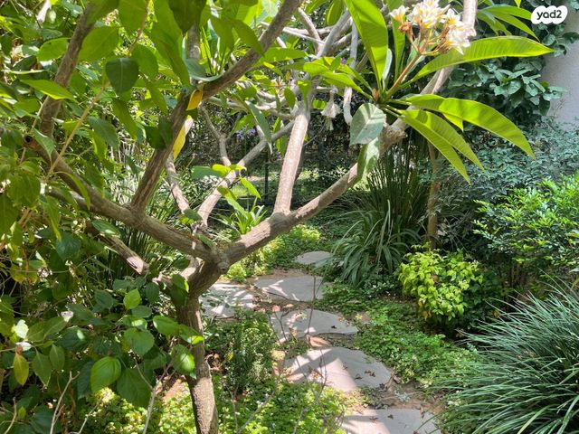 בית פרטי/ קוטג', הזורע 58, קציר, קציר