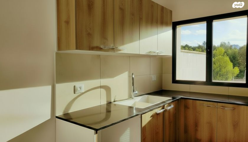 דירה, לשם 47, שאר העיר, אריאל