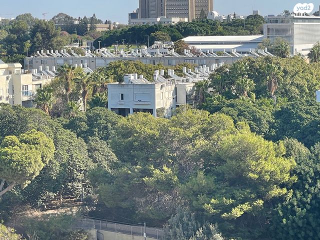 נווה אביבים