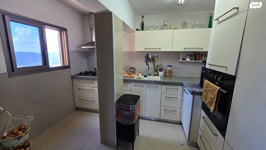 דירה, לוחמי הגטאות, דרום, צפת