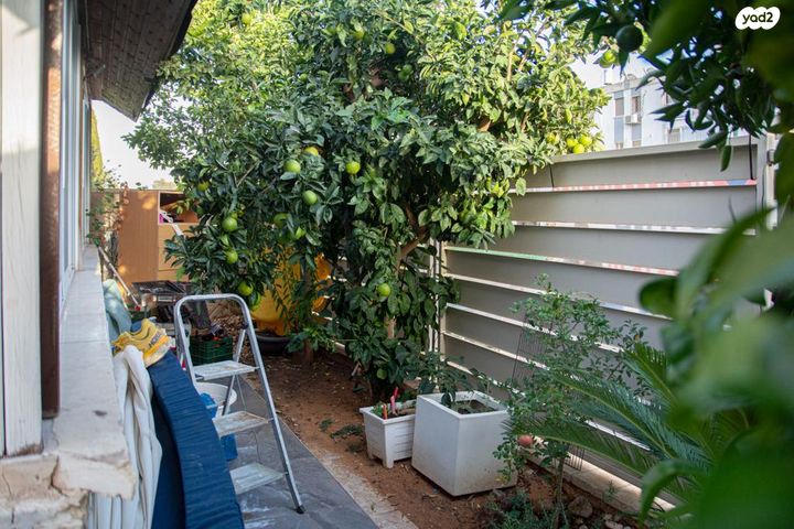 דירת גן, יהודה הלוי, היובל, אור עקיבא